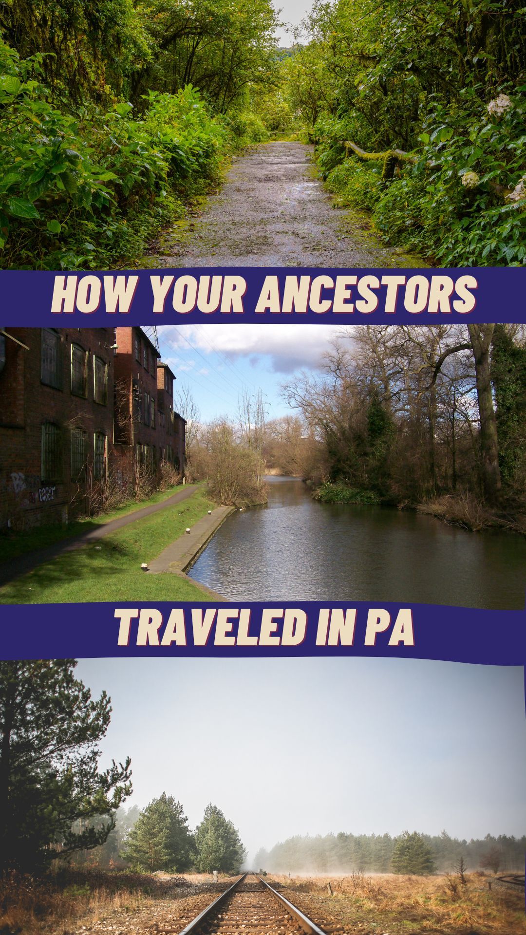 Ditch Your Car and Rediscover How Your Ancestors Traveled